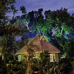 Bak A Yaad Alojamento de Turismo Selvagem Negril